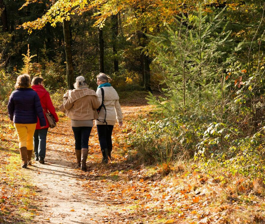 Wandelen