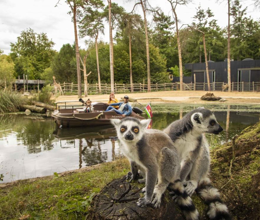 Dierentuin