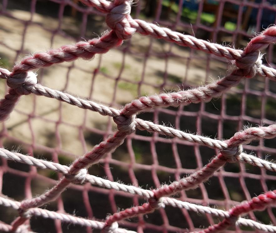 Beeld bij onderzoek Citryll naar de 'vangnetten' van het afweersysteem